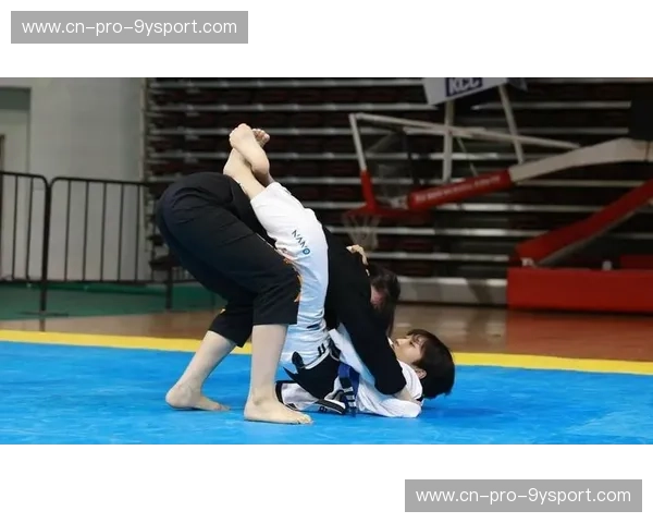 柔道伤病：从摔倒的瞬间到重回赛场的旅程